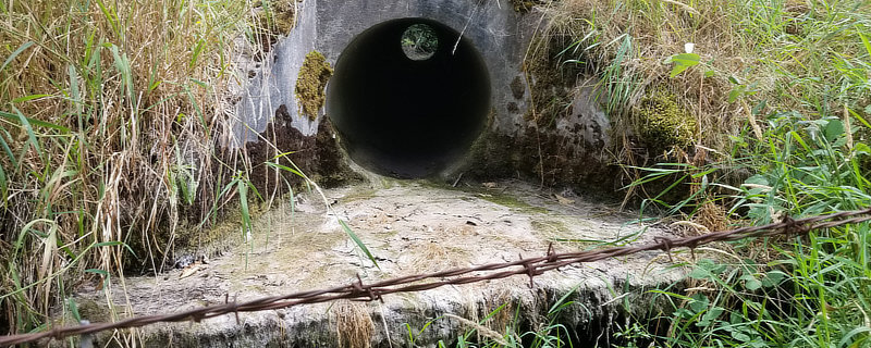 Culvert near Graham, WA
